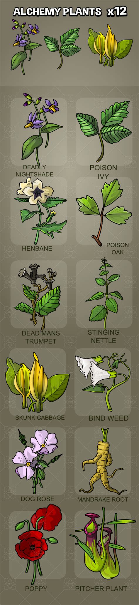Magical plant grimoire